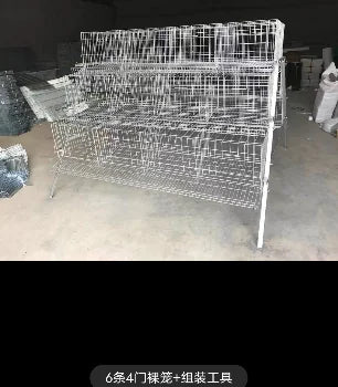 2021 Hot sale Animal Cages Electric Chicken Poultry egg Cage for Laying Hens