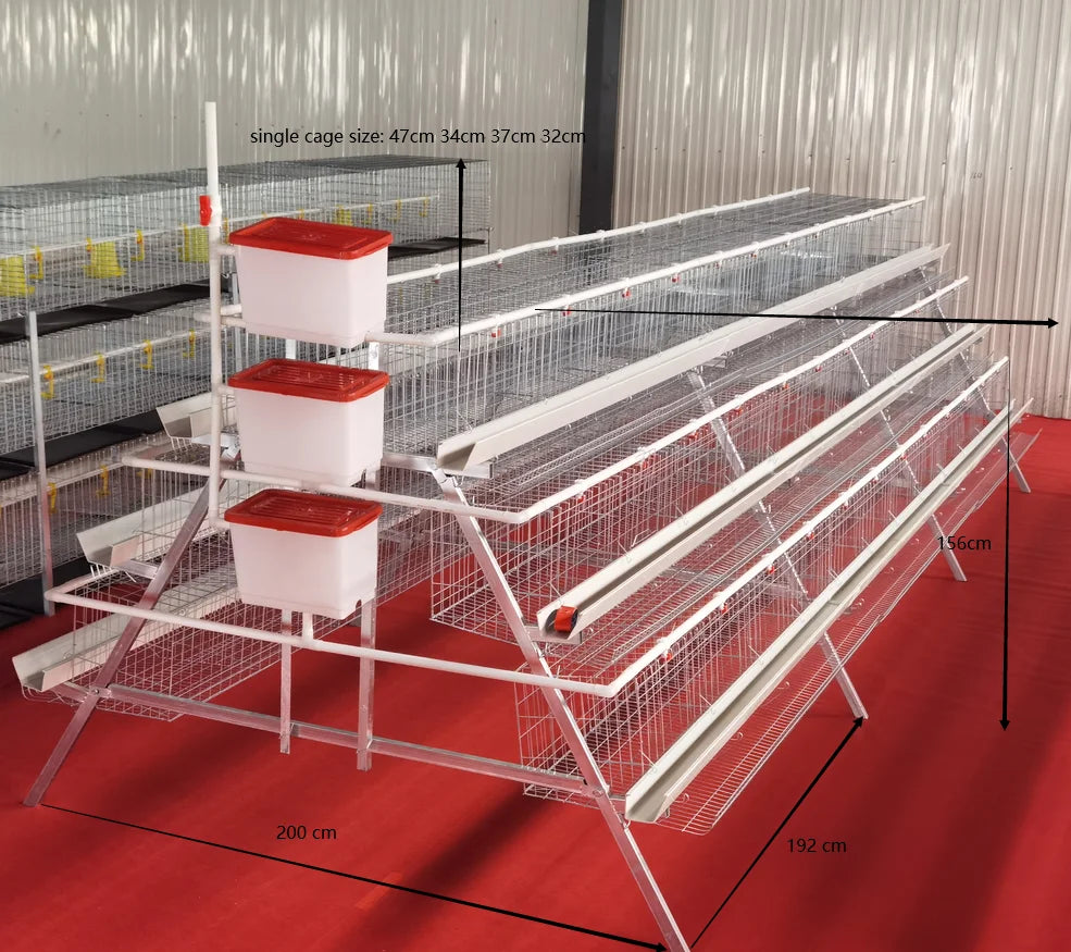 2021 Hot sale Animal Cages Electric Chicken Poultry egg Cage for Laying Hens