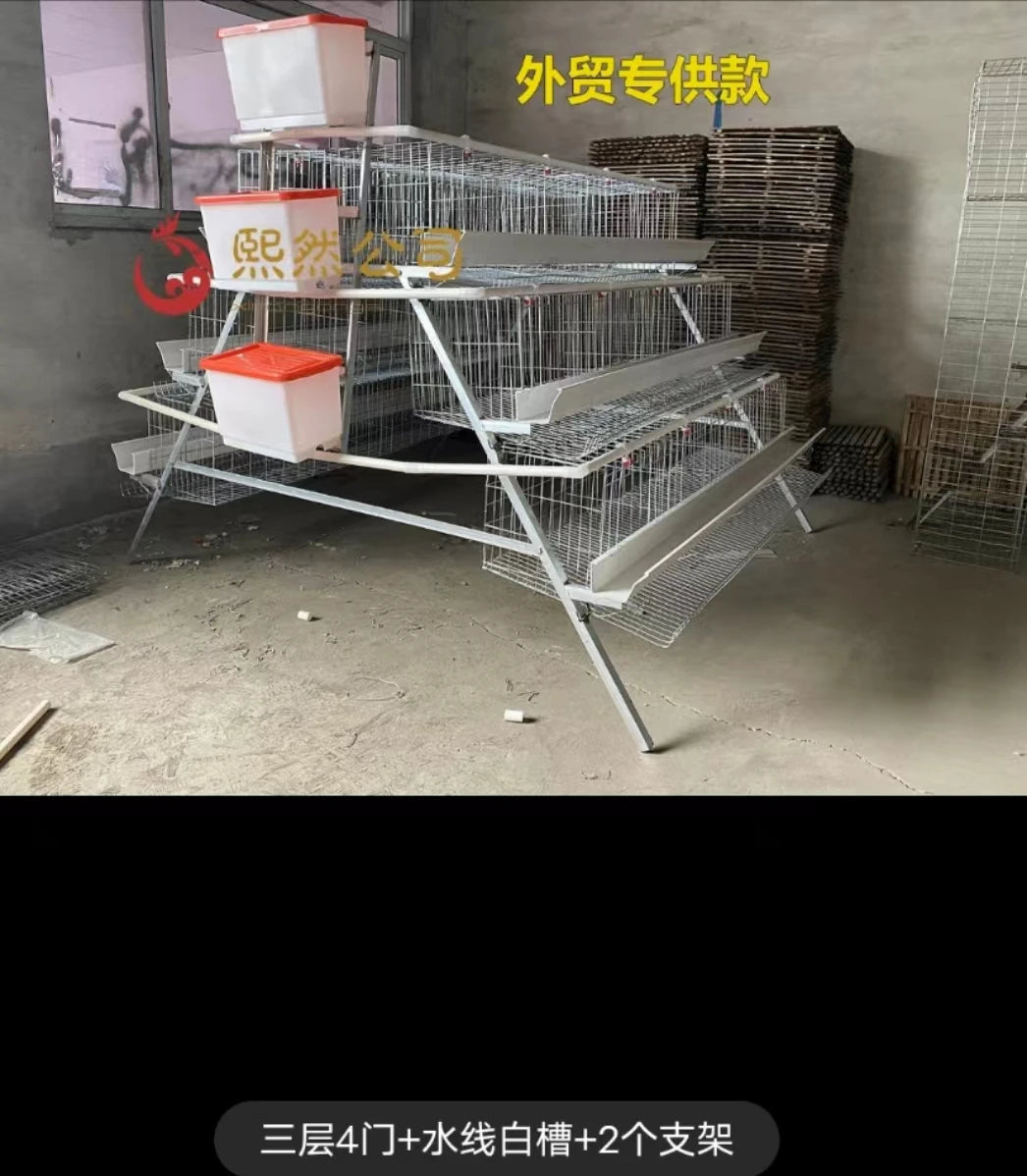 2021 Hot sale Animal Cages Electric Chicken Poultry egg Cage for Laying Hens