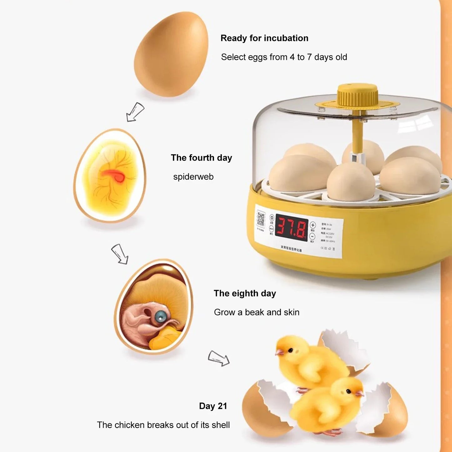 Farm Tools 6/18 Eggs Incubator Household Mini Egg Incubator With Automatic Temperature Control For Duck Chicken Goose Quail Eggs