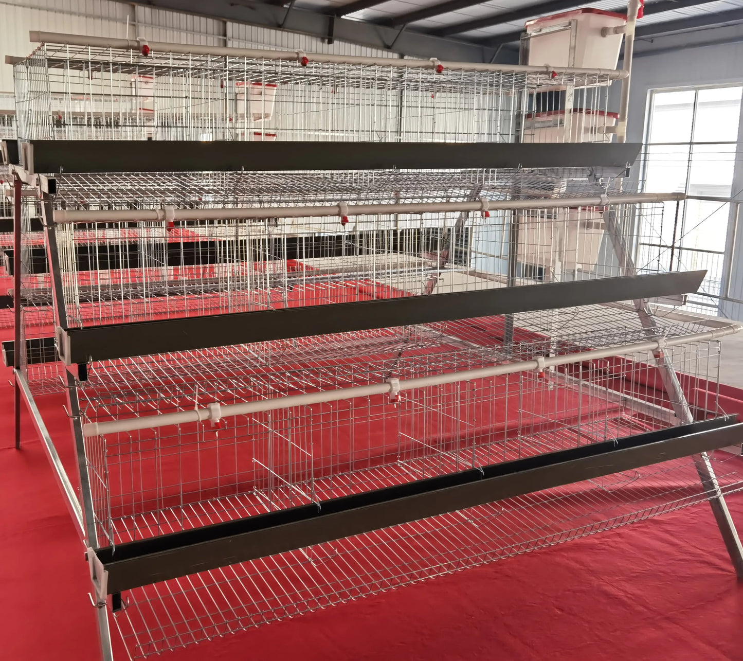 Hot Sale A Type Galvanized 4 Levels 4 Doors Chicken Laying Cage Poultry Equipment