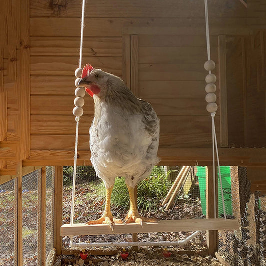 Wooden Chicken Swing Chicken Toys Exercise Toy Handmade Durable Entertainment  Stress Relief Toy for Chicken Bird Poultry