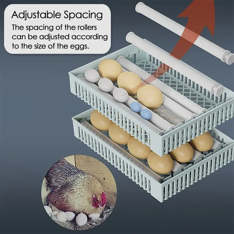 24 Egg Incubator Full Automatic Touch Temperature Control Farm Hatchery Machine Chicken Duck Quail Bird Brooder Eggs Incubator