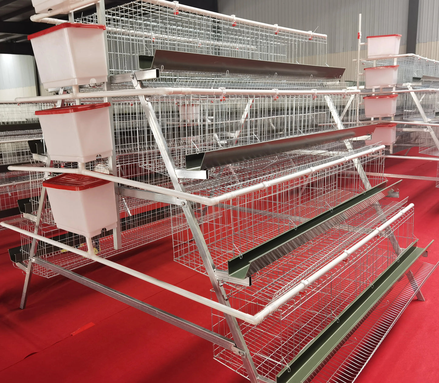 Hot Sale A Type Galvanized 4 Levels 4 Doors Chicken Laying Cage Poultry Equipment