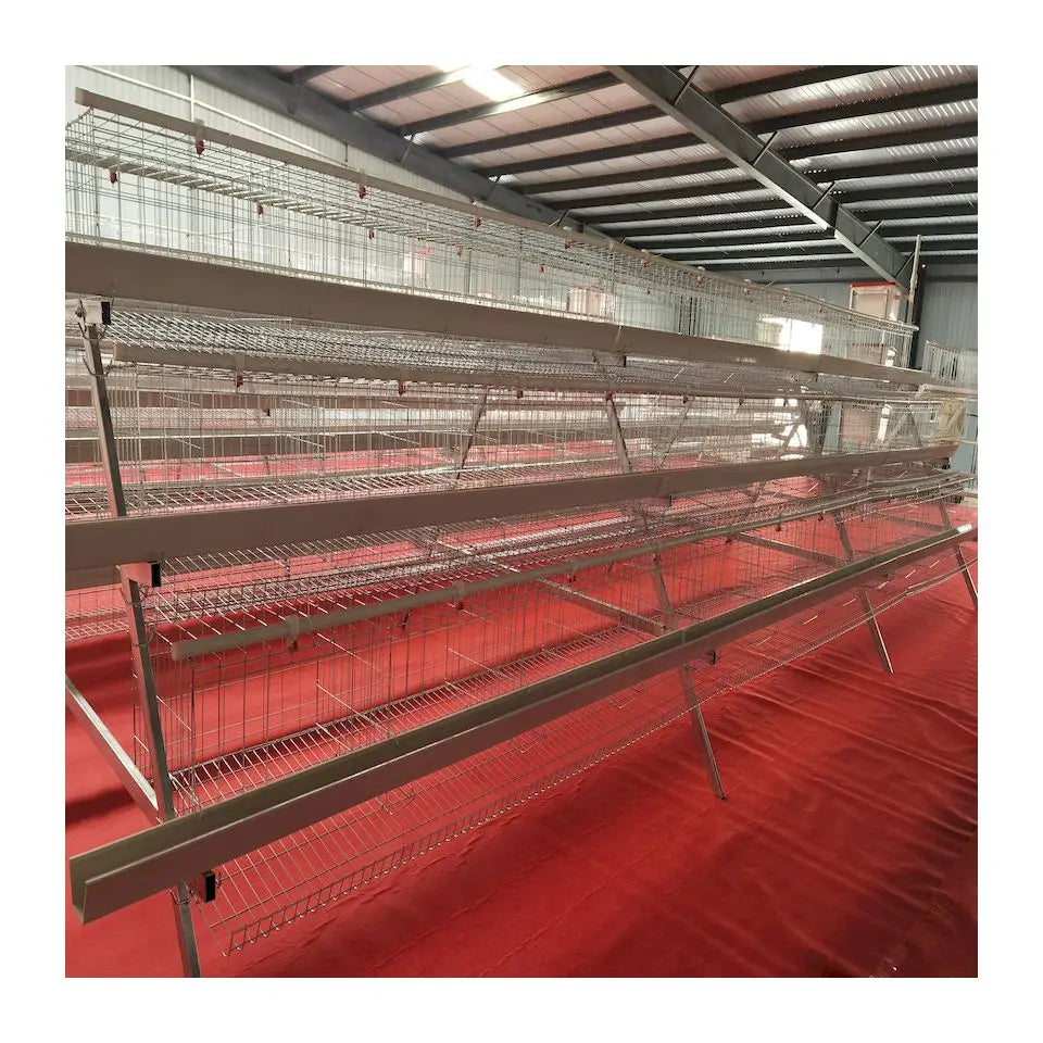 2021 Hot sale Animal Cages Electric Chicken Poultry egg Cage for Laying Hens