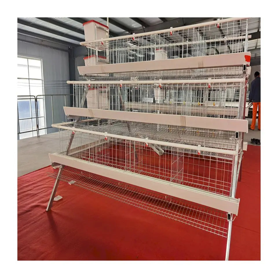 2021 Hot sale Animal Cages Electric Chicken Poultry egg Cage for Laying Hens