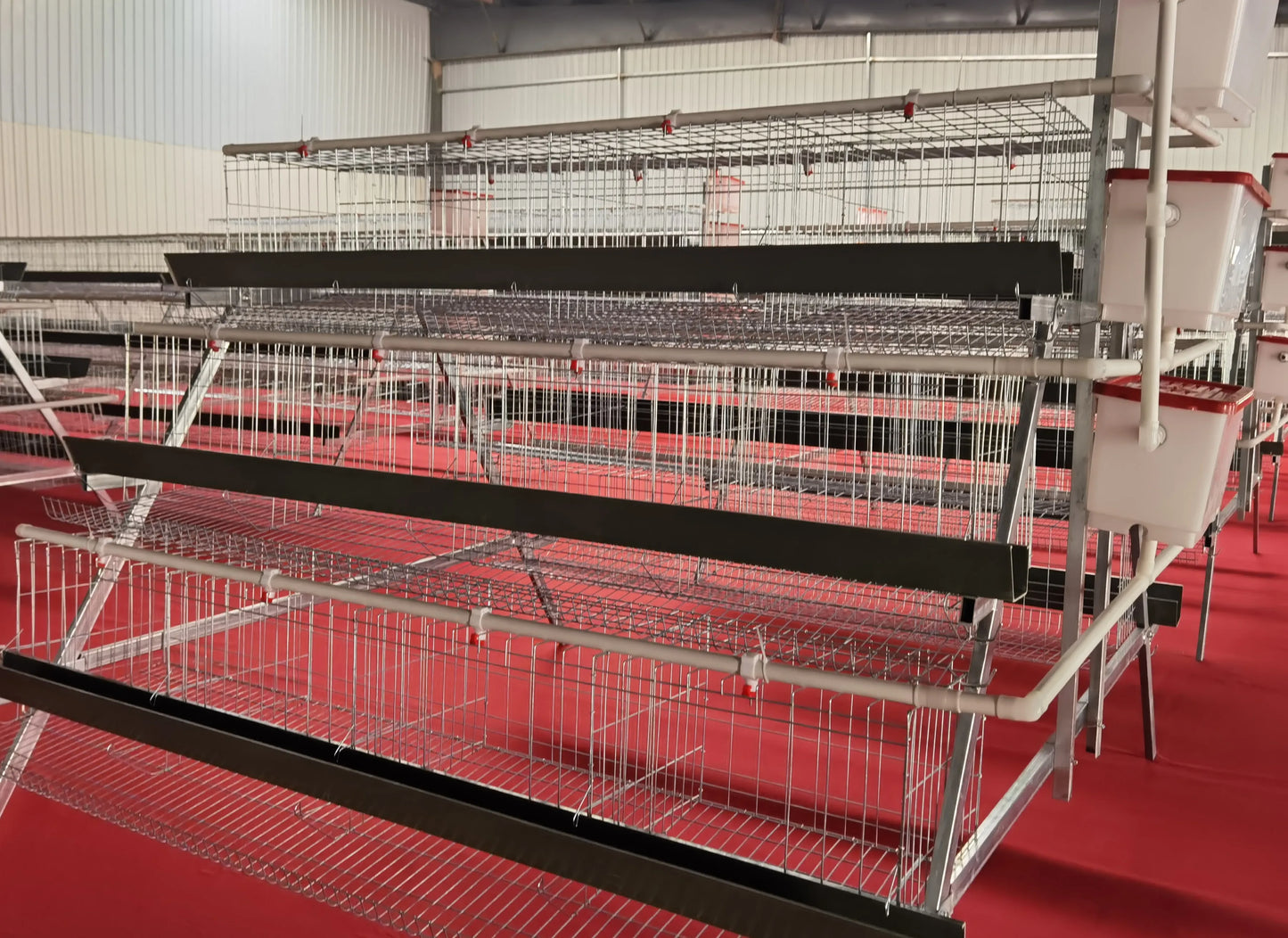 Hot Sale A Type Galvanized 4 Levels 4 Doors Chicken Laying Cage Poultry Equipment