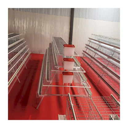 2021 Hot sale Animal Cages Electric Chicken Poultry egg Cage for Laying Hens