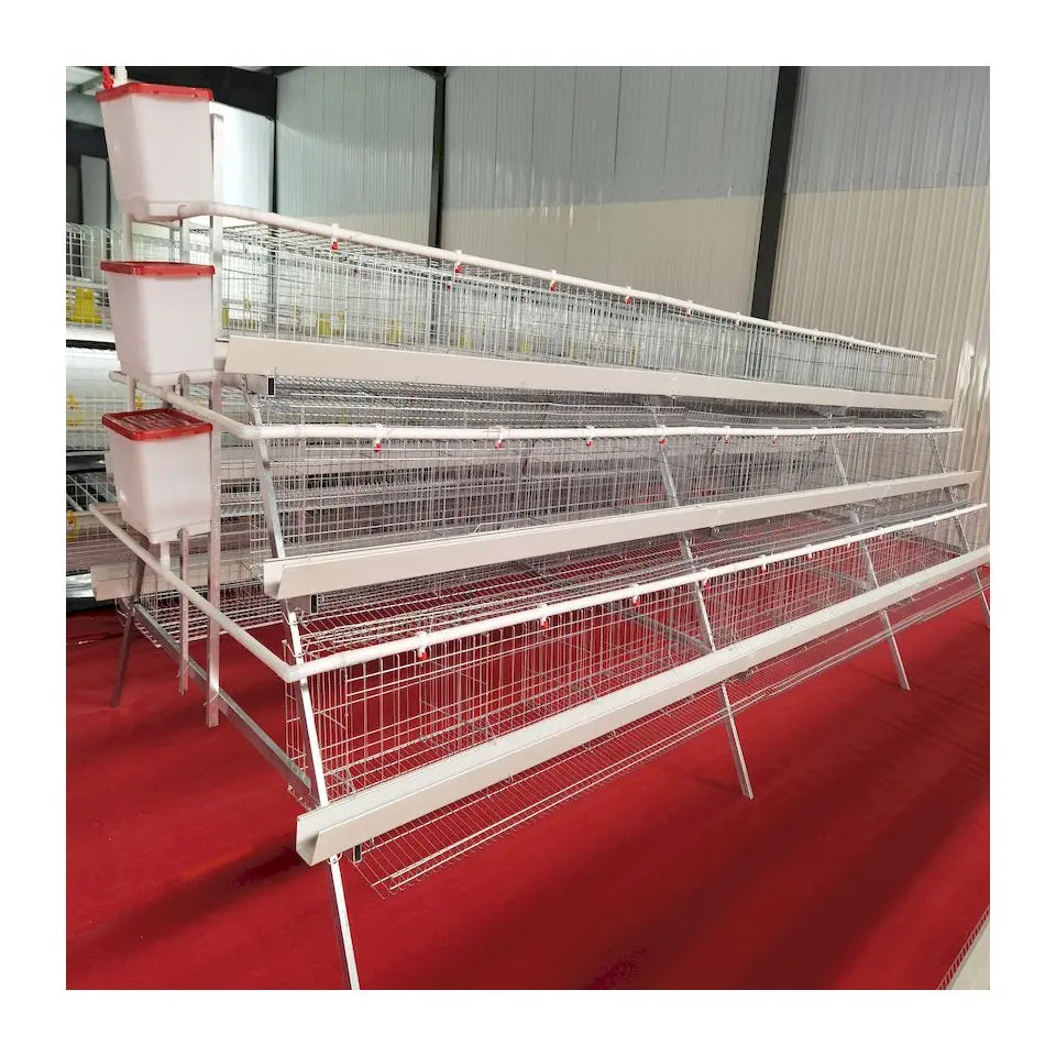 2021 Hot sale Animal Cages Electric Chicken Poultry egg Cage for Laying Hens