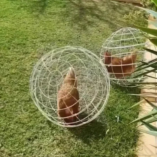 Net Red Walking Chicken Cage Plastic Spherical Chicken Cage Round Rabbit Cage Can Roll and Walk To Feed Free Range Chicken Cage