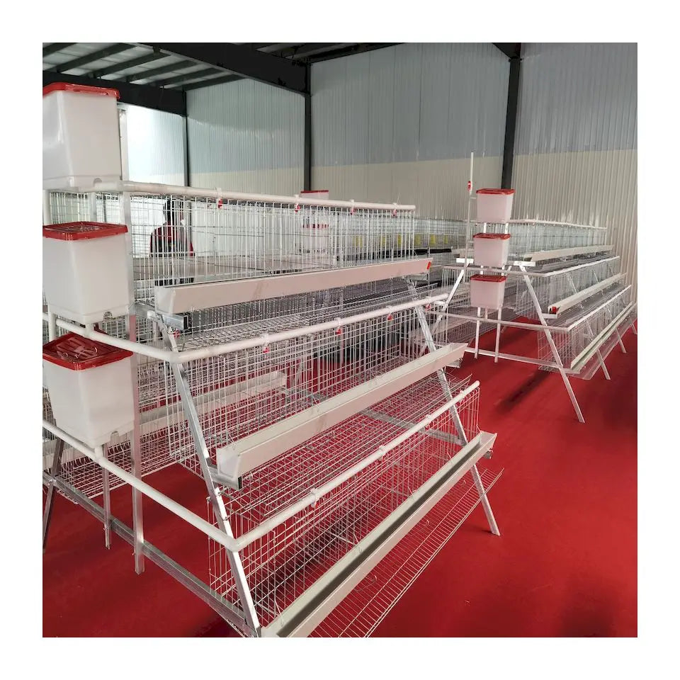 2021 Hot sale Animal Cages Electric Chicken Poultry egg Cage for Laying Hens