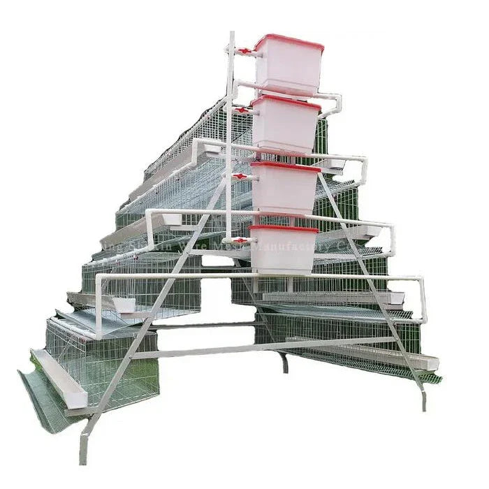 Hot Sale A Type Galvanized 4 Levels 4 Doors Chicken Laying Cage Poultry Equipment