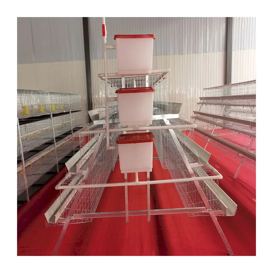 2021 Hot sale Animal Cages Electric Chicken Poultry egg Cage for Laying Hens