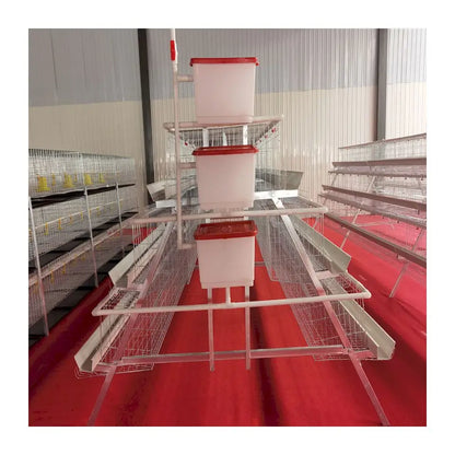2021 Hot sale Animal Cages Electric Chicken Poultry egg Cage for Laying Hens