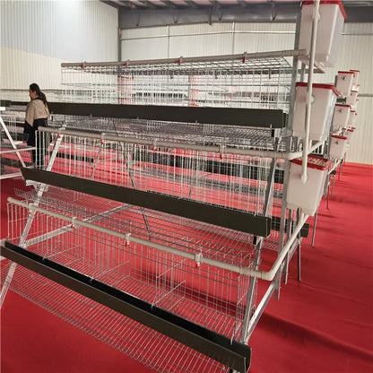 2021 Hot sale Animal Cages Electric Chicken Poultry egg Cage for Laying Hens