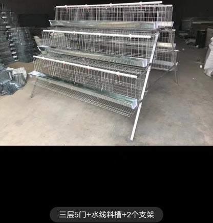 2021 Hot sale Animal Cages Electric Chicken Poultry egg Cage for Laying Hens