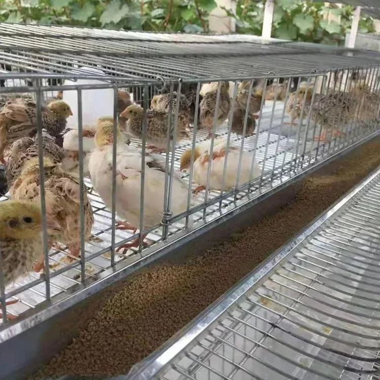 poultry farming galvanized wire mesh quail battery chicken coop cage